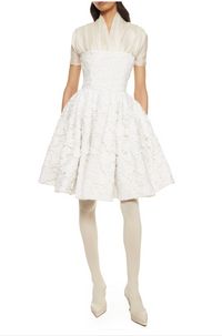 Ivory Lace Shadow Mini Dress