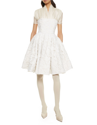 Ivory Lace Shadow Mini Dress