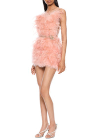 1920s Marabou and Ostrich Feather Mini Dress