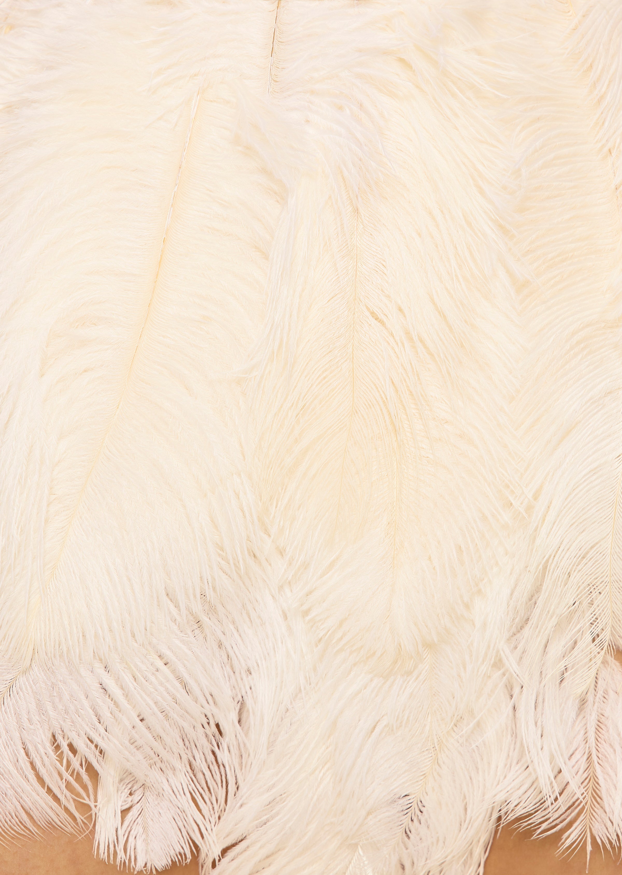 Folly Bloomer - Ivory