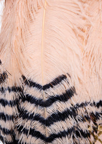 Folly Cape - Annie's Ibiza