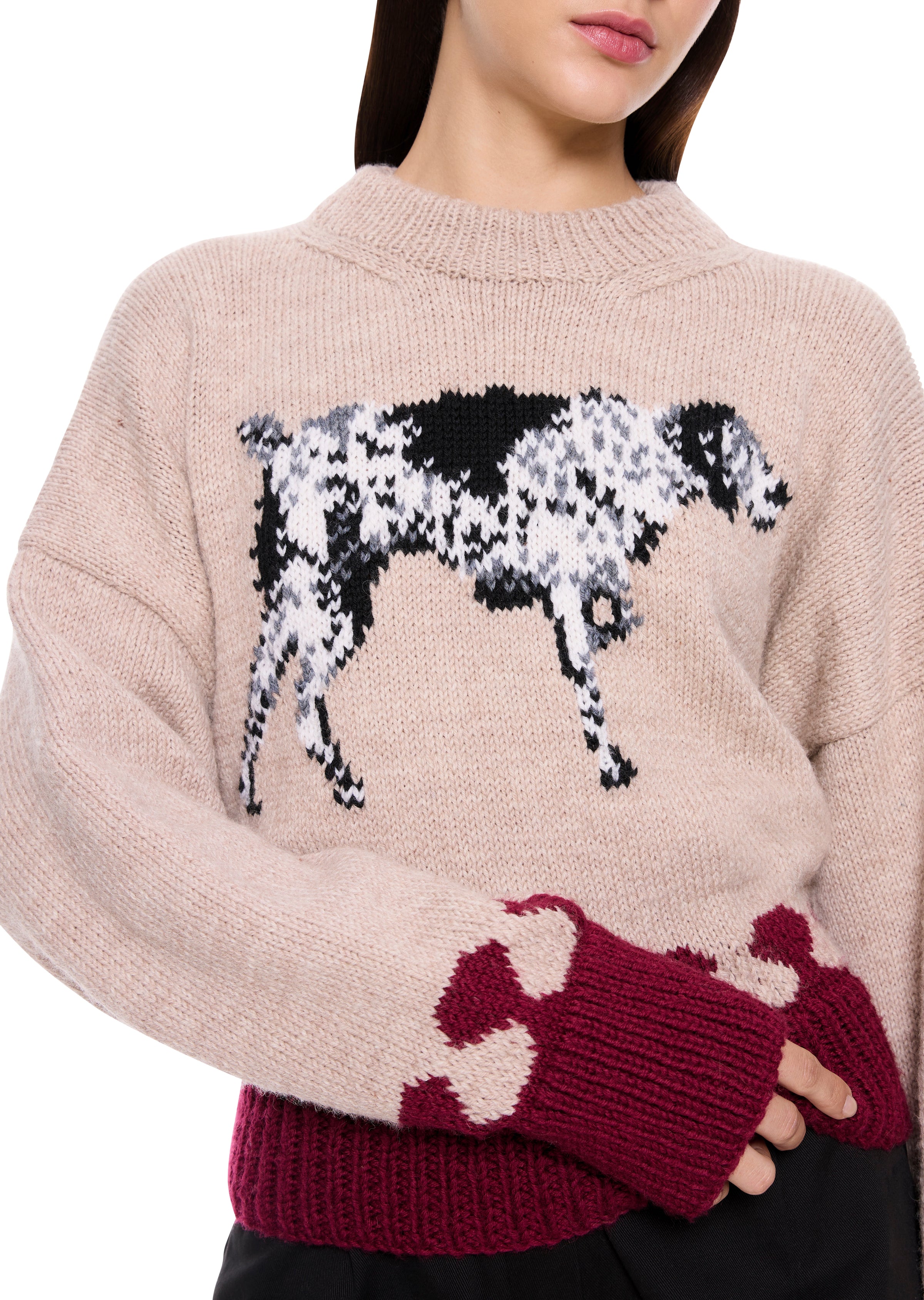 Dalmatian Jumper