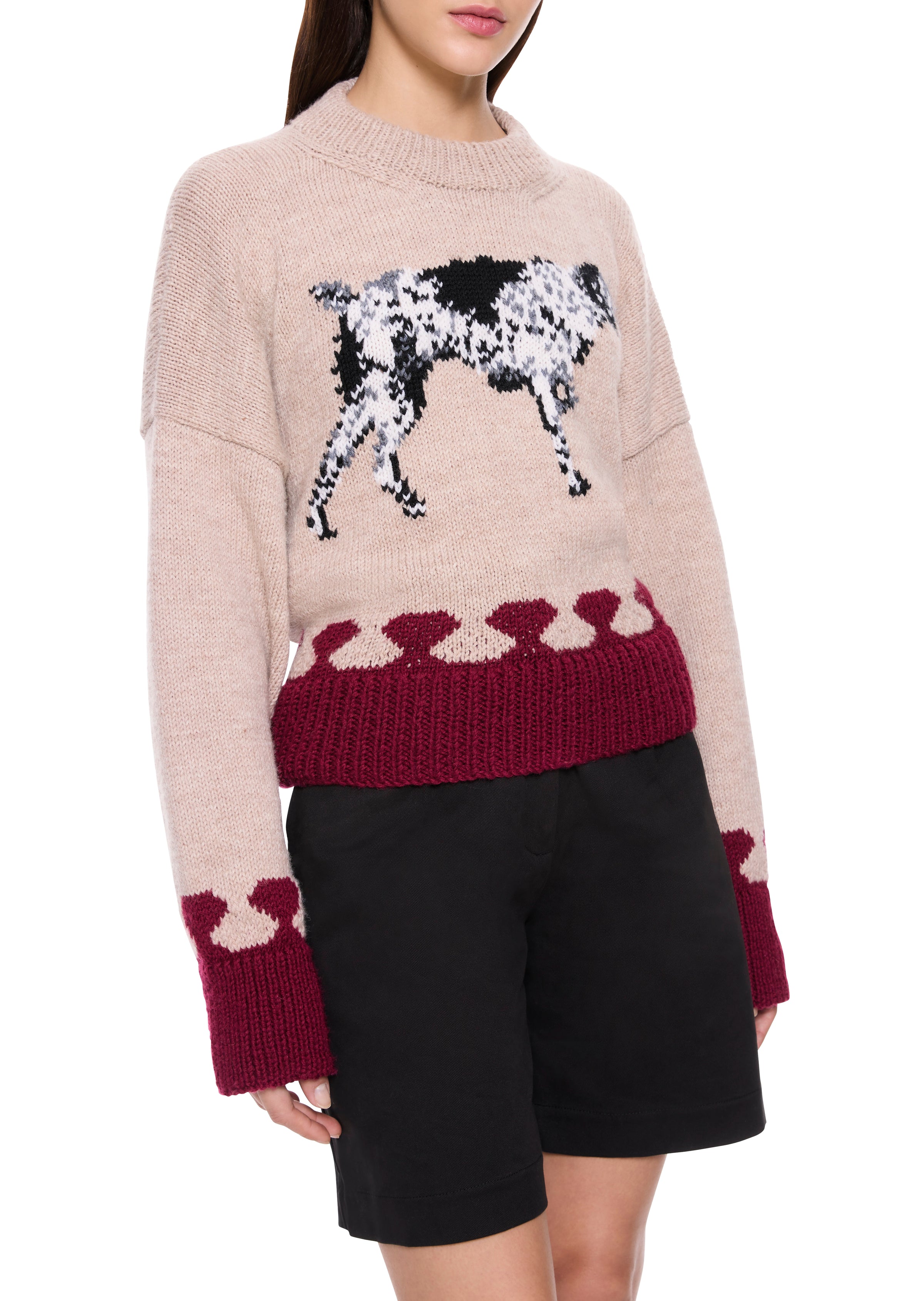 Dalmatian Jumper